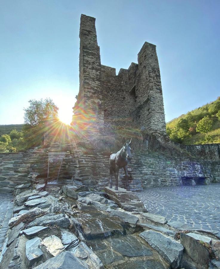 Roosartige Ferien - Ferienwohnung Am Weiherturm Bacharach Exterior photo